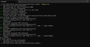 CVE-2025-55315 POC test