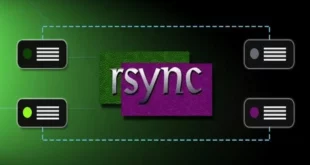 rsync command